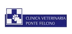 PRONTO SOCCORSO VETERINARIO PERUGIA